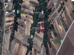 Lüleburgaz Hamitabat Köyü Satılık Tarla 2500 M2