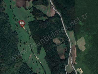 Çatalca Başakköyde Satılık Tarla 4 888 M2 Müstakil Başak Mah