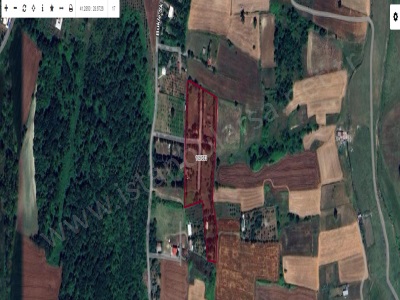 Arnavutköy Tayakadın Satılık Tarla Arsa 418 M2 Çevrili Hisseli Yolu Var Mah