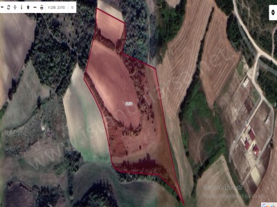 Çatalca Dağyenicede Satılık Tarla Arsa 10 600 M2 Hisseli Evlerin Yakını Dağyenice Mah