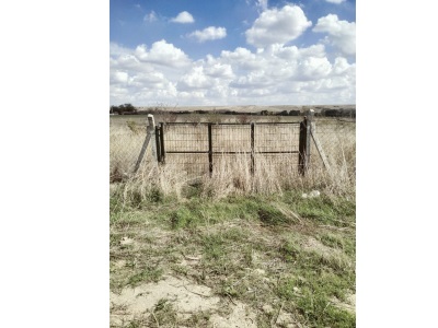 Edirne Havsa Hasköy Satılık Tarla 5 575 M2 Müstakil Otoyola Cephe Köyü