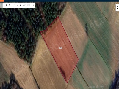 Tekirdağ Malkara Sarıpolat Mah Satılık Tarla 3 800 M2 Tek Tapu Köy İçi Yoluna Cephe