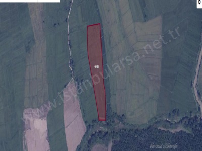 Çatalca Ormanlıda Satılık Tarla Arsa 905 M2 Hisseli Ormanlı Mah