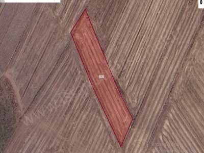 Kırklareli Vize Evrenlide Satılık Tarla Arsa 300 M2 Hisseli Evrenli Köyü