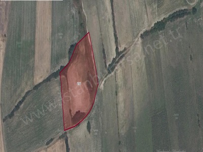 Edirne Uzunköprü Kurtbeyde Satılık Tarla Arsa 345 M2 Yolu Var Hisseli Fevzi Çakmak Mah-Kurtbey Köyü