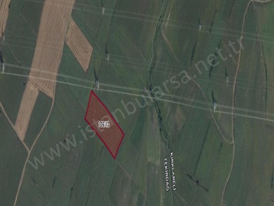 Tekirdağ Saray Edirköyde Satılık Tarla Arsa 293 M2 Hisseli Edirköy Mah