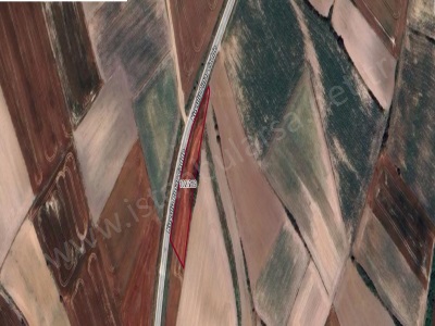 Tekirdağ Kapaklı Yanıkağıl Mah Satılık Tarla 1 755 M2 Müstakil Yola Cephe