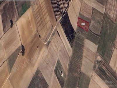 Tekirdağ Saray Kurtderede Satılık Tarla 1 Dönüm Müstakil Bağ Yeri Kurtdere Mah