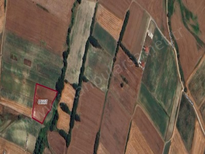 Silivri Gazitepede Satılık Tarla Arsa 1 224 M2 Hisseli Çevrili Evlerin Yakını Gazitepe Mah