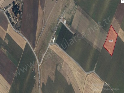 Kırklareli Vize Müsellim Köyünde Satılık Tarla 2 533 M2 Hisseli