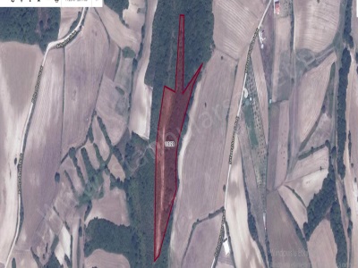 Çatalca Dağyenicede Satılık Tarla Arsa 587 M2 Hisseli Yolu Var Evlerin Yakını Dağyenice Mah