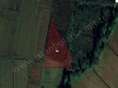 Çatalca Çiftlikköyde Satılık Tarla Arsa 306 M2 Hisseli Doğa İçinde Çiftlikköy Mah