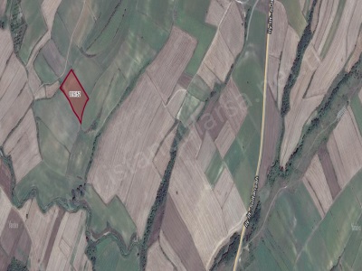 Edirne Uzunköprü Sultanşah Köyünde Satılık Tarla 1 590 M2 Yolu Var Hisseli