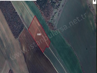 Çanakkale Gelibolu Demirtepe Köyü Satılık Tarla Arsa 750 M2 Çaplı Yolu Var