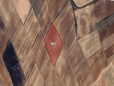 Tekirdağ Saray Yuvalıda Satılık Tarla Arsa 2 370 M2 Hisseli Yuvalı Mah