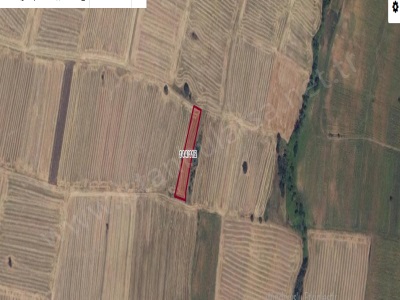 Kırklareli Pınarhisar Sütlüce Satılık Tarla 2 188 M2 Müstakil Yolu Var Köyü