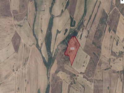 Kırklareli Merkez Yoğuntaş Köyü Satılık Tarla 9 958 M2 Müstakil Bucak Merkezi