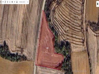 Kırklareli Babaeski Hazinedar Köyünde Satılık Tarla 3 800 M2 Cadde Cephe Müstakil