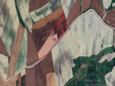 Çatalca Nakkaşta Satılık Tarla Arsa 810 M2 Hisseli Yolu Var İçinde Çardak Mevcut Nakkaş Mah