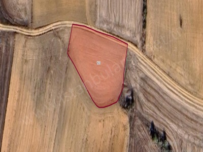 Kırklareli Babaeski Hazinedar Köyünde Satılık Tarla 2 800 M2 Müstakil Yolu Var