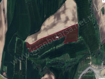 Arnavutköy Yassıörende Satılık Tarla Arsa 500 M2 Hisseli Evlerin Yakını Yassıören Mah