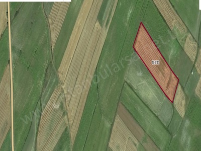 Kırklareli Vize Düzova Köyü Satılık Tarla 12 918 M2 Müstakil