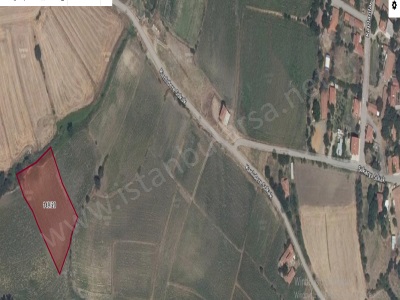 Edirne İpsala İbriktepe Köyü Satılık Tarla 4 Dönüm Müstakil Köy Dibinde İnönü Mah-İbriktepe