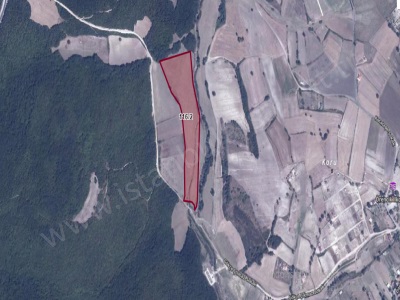 Çatalca Başakköyde Satılık Tarla Arsa 250 M2 Çaplı Yolu Var Muvafakatnameli Başak Mah