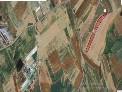 Kırklareli Lüleburgaz Kayabeyli Köyü Satılık Tarla 16 050 M2 Müstakil Yolu Var