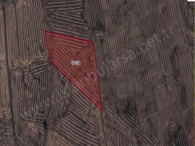 Çatalca Ormanlı Satılık Tarla Arsa 438 M2 Hisseli Mah