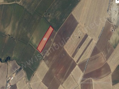 Edirne Keşan Beğendik Köyü Satılık Tarla Arsa 876 M2 Yolu Var Köye Yakın Hisseli Beykent Mah-Beğendik