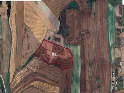 Arnavutköy Hacımaşlı Satılık Tarla Arsa 202 M2 Yolu Var Evlerin Yakını Mah