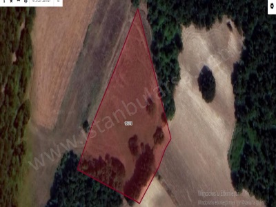 Çatalca Hisarbeylide Satılık Tarla Arsa 500 M2 Çapı Yolu Mevcut Hisarbeyli Mah