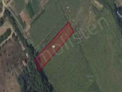 Ackerland Kaufen In  Türkei, Edirne, Uzunkopru, Beykonak Koyu , 318 m2