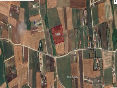 Çatalca Elbasanda Satılık Tarla Arsa 250 M2 Çaplı Çevrili Evlerin Yakını Elbasan Mah