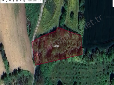 Arnavutköy Balabanda Satılık Tarla Arsa 207 M2 Çevrili Hisseli Balaban Mah