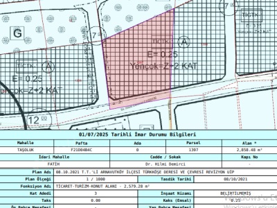 Arnavutköy Taşolukta Satılık Tarla 2 900 M2 Merkezde Cadde Cephe Müstakil Taşoluk Mah