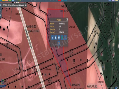 Arnavutköy Hacımaşlı Satılık Tarla 12 536 M2 Müstakil Yolu Var İmarlı Mah