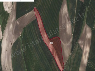 Arnavutköy Yassıörende Satılık Tarla Arsa 500 M2 Yolu Var Hisseli Yassıören Mah