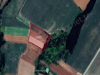 Tekirdağ Saray Sofularda Satılık Tarla Arsa 933 M2 Yolu Var Hisseli Sofular Mah