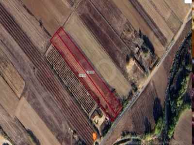 Land For Sale in  Turkey, Kirklareli, Babaeski, Yenimahalle Koyu , 5800 m2