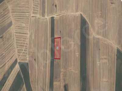 Field For Sale in  Turkey, Kirklareli, Pehlivankoy, Doganca Koyu , 328 m2