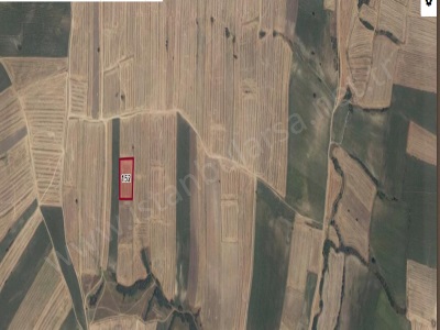 Kırklareli Pehlivanköy Doğanca Köyünde Satılık Tarla Arsa 656 M2 Hisseli