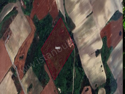 Arnavutköy Dursunköyde Satılık Tarla Arsa 250 M2 Yolu Var Evlerin Yakını Dursunköy Mah