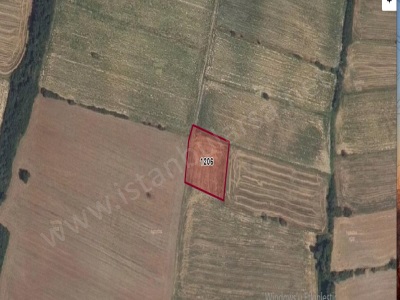 Tekirdağ Hayrabolu Danişmentte Satılık Tarla 2 Dönüm Müstakil Danişment Mah