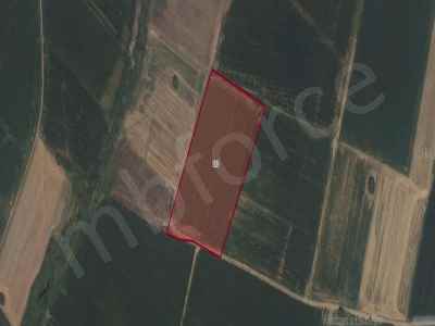 Field For Sale in  Turkey, Kirklareli, Downtown, Yeni neighborhood-Inece Koyu. , 231 m2