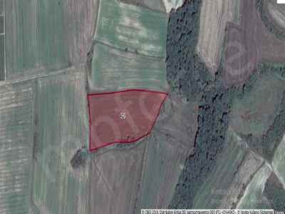 Field For Sale in  Turkey, Edirne, Havsa, Bakislar Koyu , 1327 m2