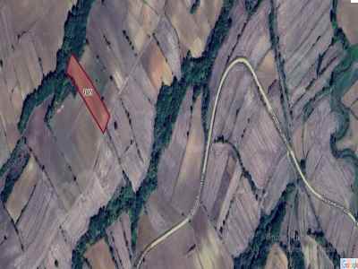 Field For Sale in  Turkey, Edirne, Uzunkopru, Kirkkavak Koyu , 1220 m2