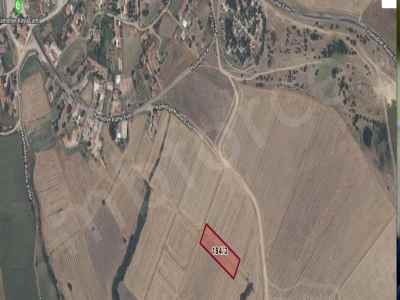 Field For Sale in  Turkey, Edirne, Uzunkopru, Hamidiye Koyu , 2581 m2