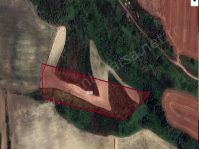 Arnavutköy Dursunköyde Satılık Tarla Arsa 316 M2 Hisseli Dursunköy Mah